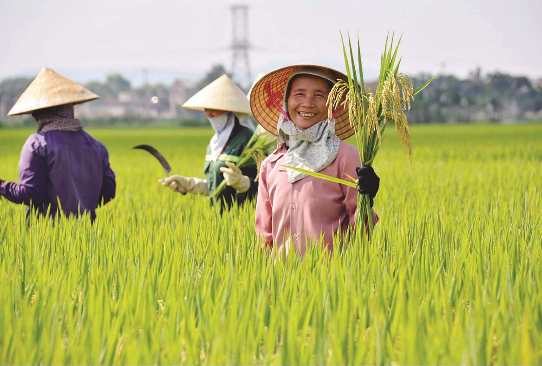 TRUYỀN CẢM HỨNG